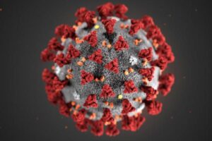 A Regional Study explains drop in death from COVID-19