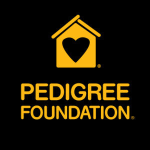 The PEDIGREE Foundation announced a grant of $1 million to find homes for homeless pets
