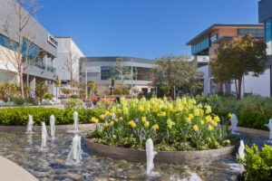 Bohannon Companies and Northwood Investors collaborate to manage Hillsdale shopping center